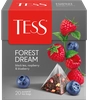 Чай черный TESS Forest Dream, 20пир - фото 0