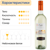 Вино CIELO Гарганега э Шардоне белое полусухое, 0.75л - фото 3