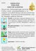 Семена ДОМ СЕМЯН Лобелия Мисс Клербан, 0,1г - фото 1