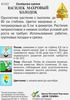 Семена Василек Холодок, 0,35г - фото 1