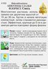 Семена ДОМ СЕМЯН Анютины глазки Флорист, 0,1г - фото 1