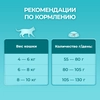 Корм сухой для взрослых кошек PURINA ONE Sterilised с лососем и пшеницей, для стерилизованных, 750г - фото undefined