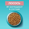 Корм сухой для взрослых кошек PURINA ONE Sterilised с лососем и пшеницей, для стерилизованных, 750г - фото undefined