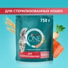 Корм сухой для взрослых кошек PURINA ONE Sterilised с лососем и пшеницей, для стерилизованных, 750г - фото undefined