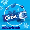 Жевательная резинка ORBIT Winterfresh, 13,6г - фото undefined