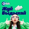 Жевательная резинка ORBIT Белоснежный Нежная Мята, 13,6г - фото undefined