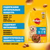 Корм сухой для взрослых собак PEDIGREE с говядиной, для всех пород, полнорационный, 13кг - фото undefined