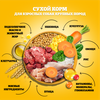 Корм сухой для взрослых собак PEDIGREE с говядиной, для крупных пород, 13кг - фото undefined