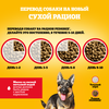 Корм сухой для взрослых собак PEDIGREE с говядиной, для крупных пород, 13кг - фото undefined