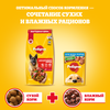 Корм сухой для взрослых собак PEDIGREE с говядиной, для крупных пород, 13кг - фото undefined