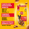 Корм сухой для взрослых собак PEDIGREE с говядиной, для крупных пород, 13кг - фото undefined