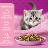 Корм сухой для котят WHISKAS Вкусные подушечки, Аппетитное ассорти с индейкой и морковью, 350г - фото undefined