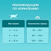 Корм сухой для взрослых кошек PURINA ONE Sterilised с говядиной и пшеницей для стерилизованных, 750г - фото undefined