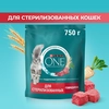 Корм сухой для взрослых кошек PURINA ONE Sterilised с говядиной и пшеницей для стерилизованных, 750г - фото undefined