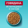 Корм сухой для взрослых кошек PURINA ONE Sterilised с говядиной и пшеницей для стерилизованных, 750г - фото undefined