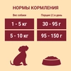 Корм сухой для взрослых собак PURINA ONE Mini Активная Курица и рис, 600г - фото undefined