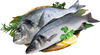 Дорадо ЛЕНТА FRESH непотрошеная с головой (из замороженного сырья) 
300–600г, весовая - фото 1