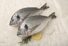 Дорадо ЛЕНТА FRESH непотрошеная с головой (из замороженного сырья) 
300–600г, весовая - фото 0