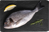 Дорадо ЛЕНТА FRESH непотрошеная с головой (из замороженного сырья) 
300–600г, весовая - фото 1