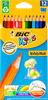 Карандаши цветные BIC Kids Evolution ECOlutions 12 цветов Арт. 829029 - фото undefined
