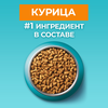 Корм сухой для взрослых кошек PURINA ONE Elegant с курицей и цельными злаками, 750г - фото undefined