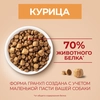 Корм сухой для взрослых собак PURINA ONE Mini Активная Курица и рис, 1,5кг - фото undefined