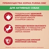 Корм сухой для взрослых собак PURINA ONE Mini Активная Курица и рис, 1,5кг - фото undefined