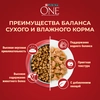 Корм сухой для взрослых собак PURINA ONE Mini Активная Курица и рис, 1,5кг - фото undefined