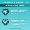 Корм сухой для взрослых кошек PURINA ONE Adult с говядиной с цельными злаками, 750г - фото undefined