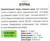 Семена ПОИСК Томат Хурма, 0,1г - фото 1