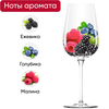 Вино CHOCHORI Саперави ординарное сортовое красное сухое, 0.75л - фото 3