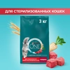 Корм сухой для взрослых кошек PURINA ONE Sterilised с говядиной и пшеницей, для стерилизованных, 3кг - фото undefined