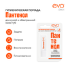 Помада гигиеническая для губ EVO Пантенол, 2,8г - фото undefined