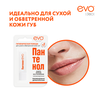 Помада гигиеническая для губ EVO Пантенол, 2,8г - фото undefined