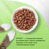 Корм сухой для взрослых кошек KITEKAT Курочка аппетитная, 350г - фото undefined