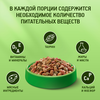 Корм сухой для взрослых кошек KITEKAT Курочка аппетитная, 350г - фото undefined