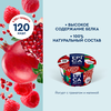 Йогурт EPICA с гранатом и малиной 4,8%, без змж, 130г - фото 2