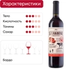 Вино STEAKWINE Мальбек Мендоса красное полусухое, 0.75л - фото 2