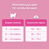 Корм сухой для котят PURINA ONE Kitten с курицей и цельными злаками, 750г - фото undefined