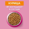 Корм сухой для котят PURINA ONE Kitten с курицей и цельными злаками, 750г - фото undefined