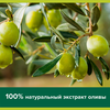 Туалетное мыло PALMOLIVE Натурэль Интенсивное увлажнение с экстрактом оливы и увлажняющим молочком, 90г - фото undefined