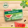 Туалетное мыло PALMOLIVE Натурэль Освежающее с летним арбузом, 90г - фото undefined