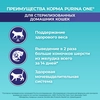 Корм сухой для взрослых кошек PURINA ONE Sterilised с курицей и цельными злаками, 750г - фото undefined