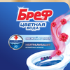 Блок для унитаза БРЕФ Color Aktiv Цветочная Свежесть, 50г - фото undefined