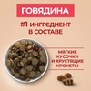 Корм сухой для взрослых собак PURINA ONE Adult Говядина и рис, для средних и крупных пород, 1,8кг - фото undefined