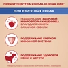 Корм сухой для взрослых собак PURINA ONE Adult Говядина и рис, для средних и крупных пород, 1,8кг - фото undefined