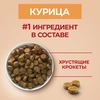 Корм сухой для щенков PURINA ONE Puppy с курицей и рисом, для средних и крупных пород, 1,8кг - фото undefined