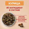 Корм сухой для взрослых собак PURINA ONE Adult с курицы и с рисом, для средних и крупных пород, 3,8кг - фото undefined