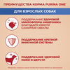 Корм сухой для взрослых собак PURINA ONE Adult с курицы и с рисом, для средних и крупных пород, 3,8кг - фото undefined