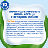Хлебцы рисовые детские АГУША Полезный перекус Ягодное ассорти, с 12 месяцев, 30г - фото undefined